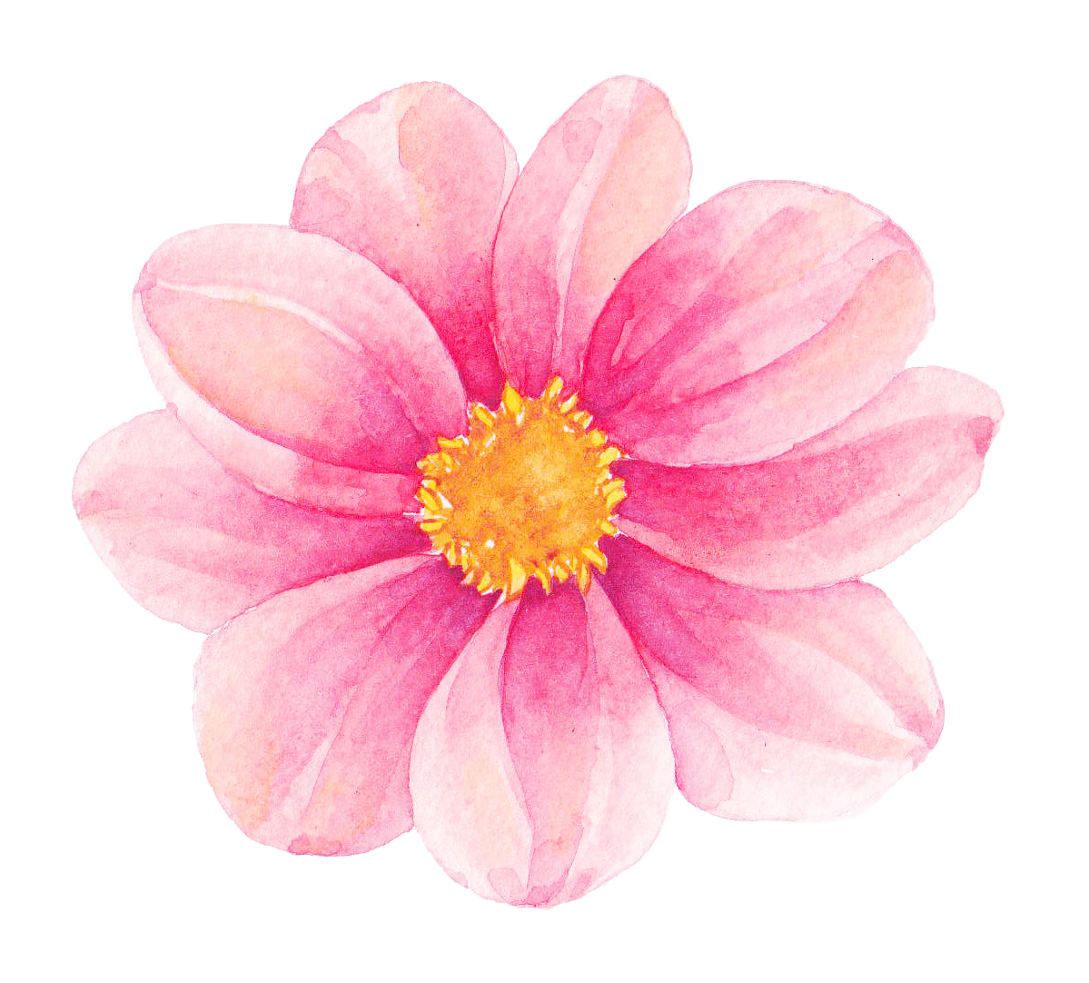 imagem-de-florzinha